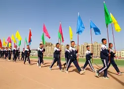 赛地聚焦：意大利杯集结日热度飙升，印第安纳步行者回应争议，目标明确，团队化学反应显著的简单介绍-泛亚娱乐